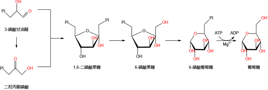 C3植物光合作用论文